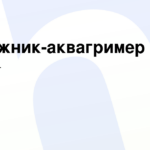 ООО КИДБУРГ